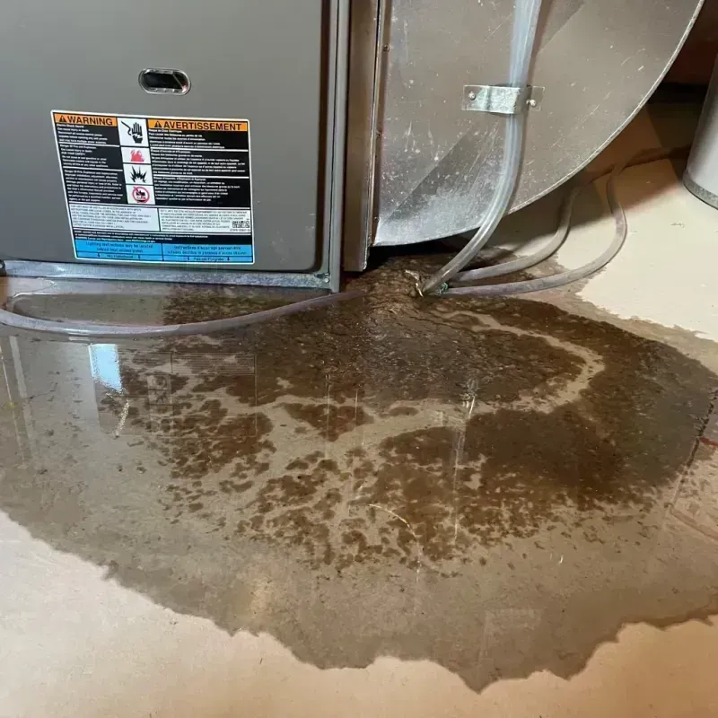 Appliance Leak Cleanup in Lakewood, CO